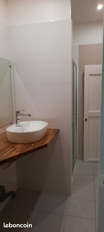 Appartement à louer, 50m², Villeurbanne