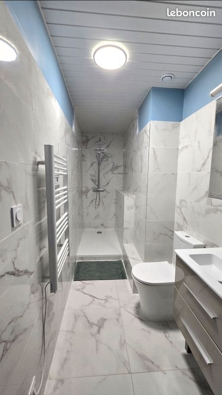 Appartement à louer, 48m², Saint-Etienne