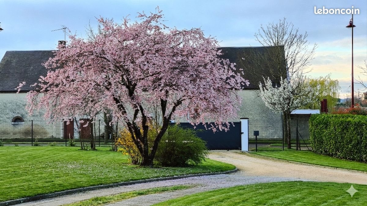 Maison à vendre, 180m², Saint-Doulchard