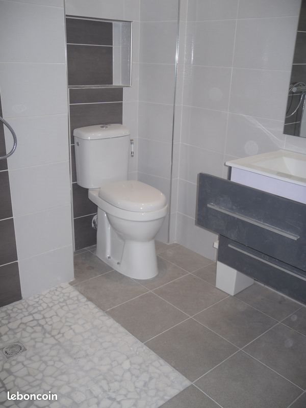 Appartement à louer, 38m², Brives-Charensac