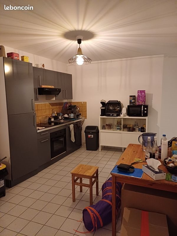 Appartement à louer, 52m², Muret