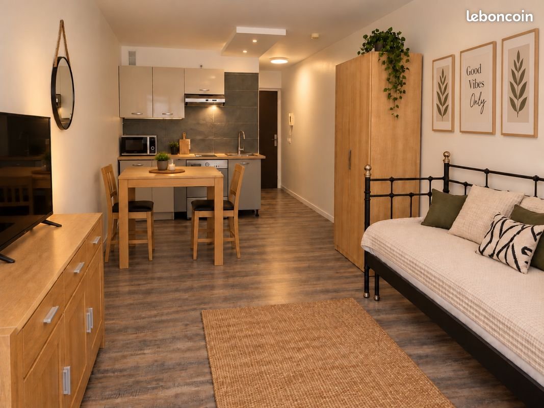 Appartement à louer, 25m², Nancy