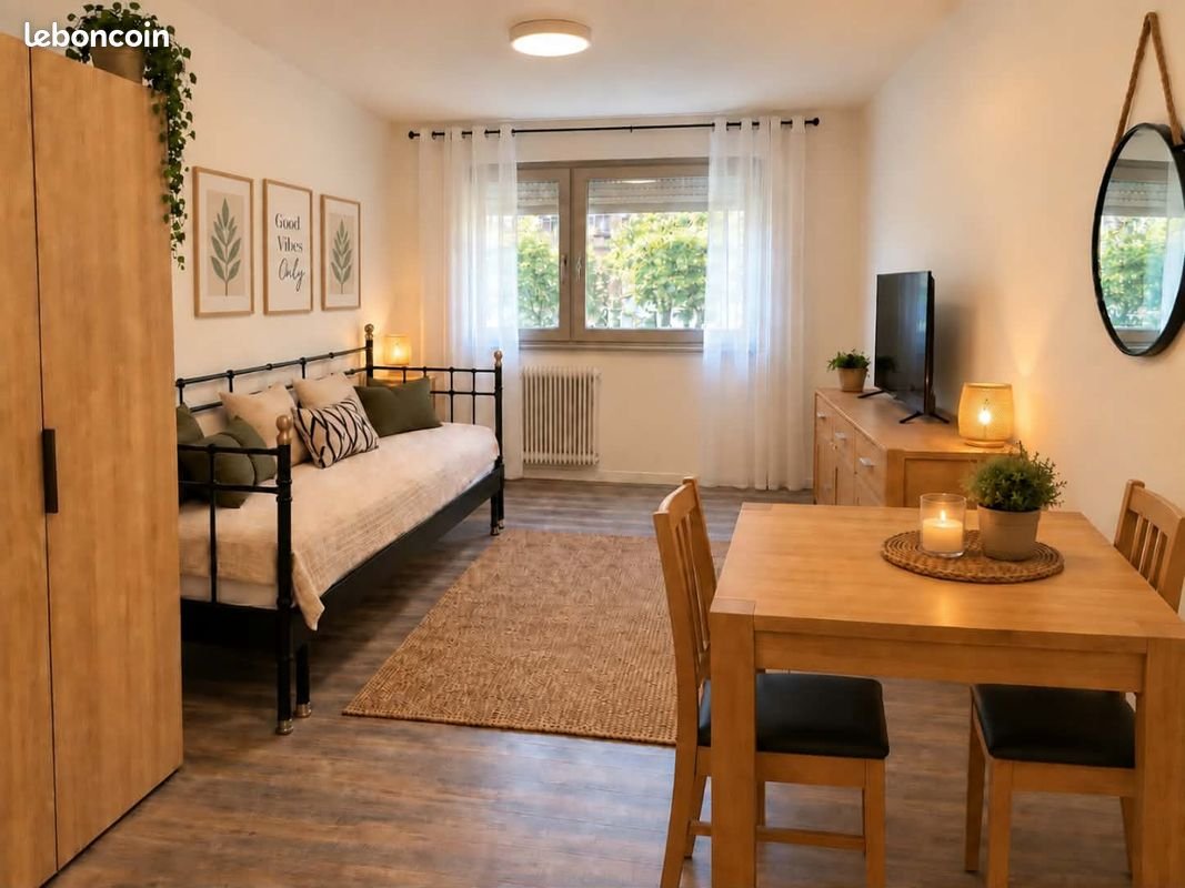 Appartement à louer, 25m², Nancy