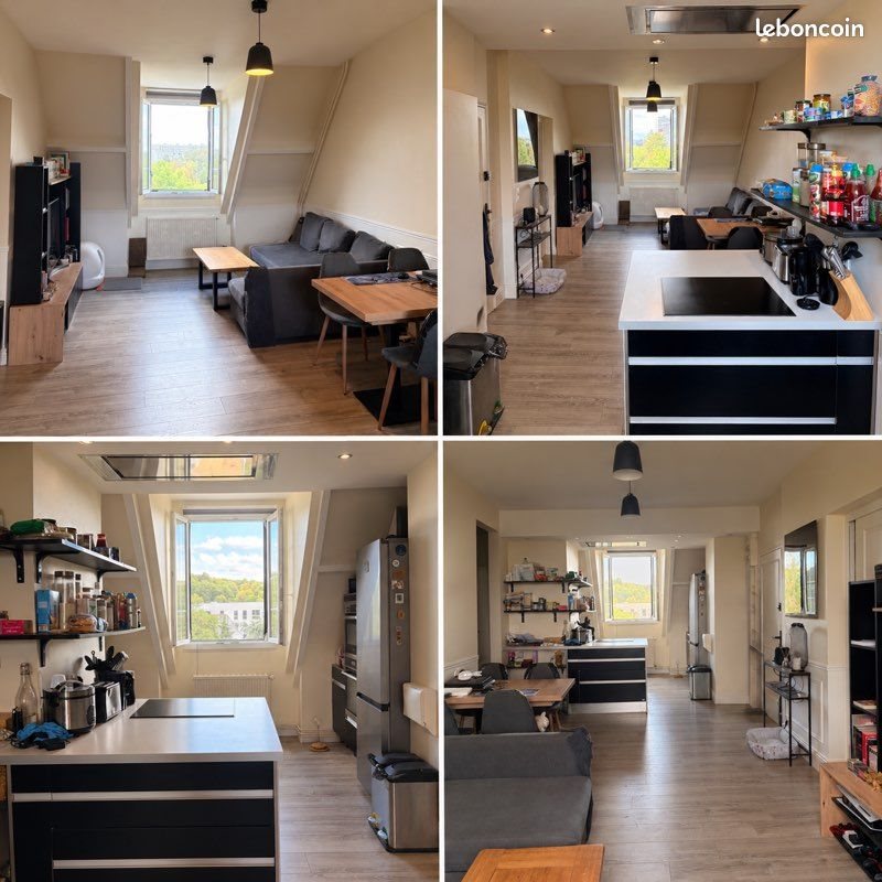 Appartement à vendre, 53m², Tours