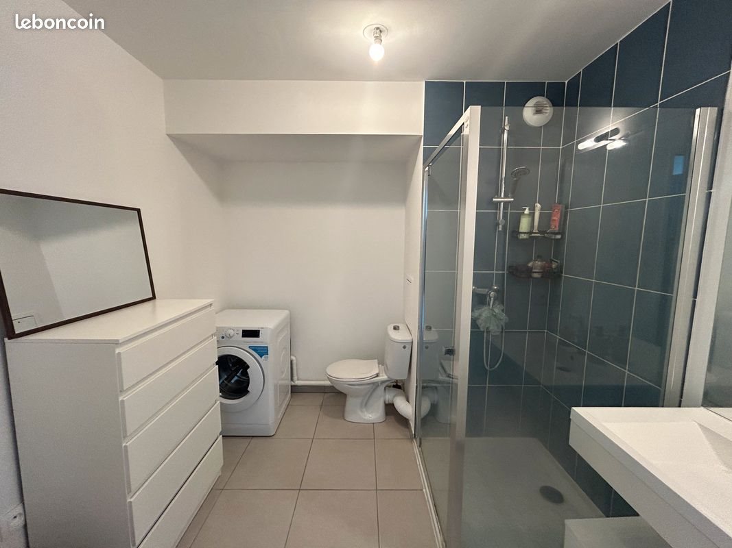 Appartement à louer, 48m², Lille