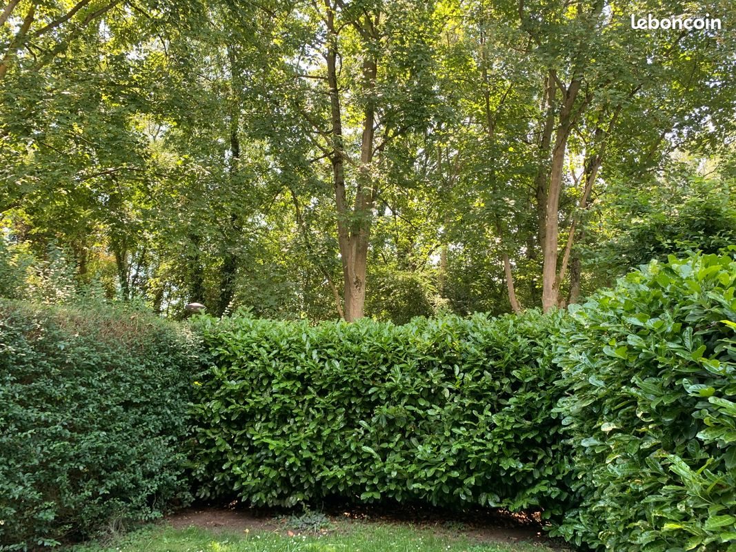 Maison à vendre, 112m², Villeneuve-d'Ascq