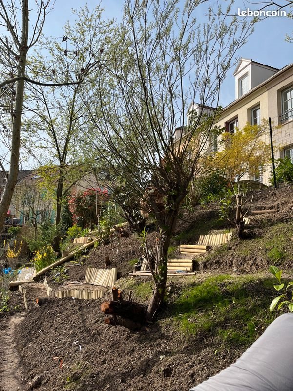Maison à louer, 180m², Cergy