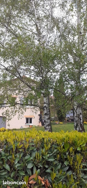 Maison à vendre, 130m², Pouilly-les-Nonains