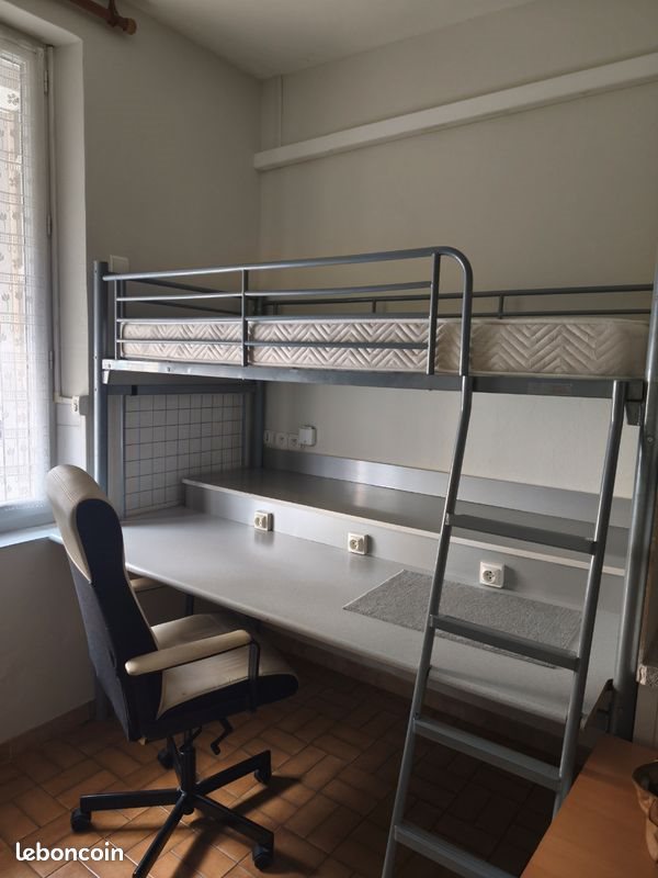 Appartement à louer, 15m², Albi