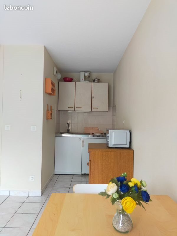 Appartement à louer, 29m², Faverges