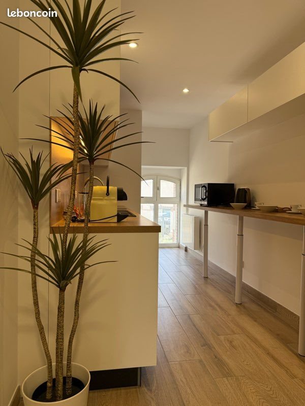 Appartement à louer, 80m², Auxerre