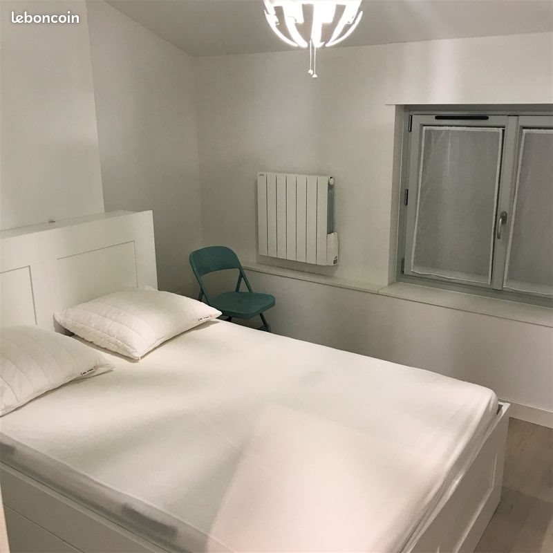 Appartement à louer, 31m², Saint-Étienne