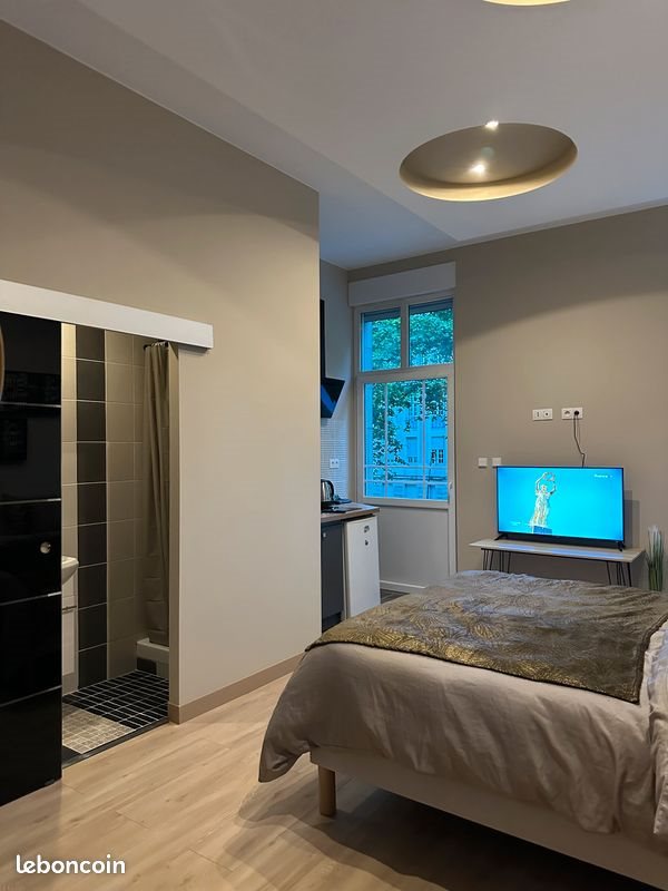 Appartement à louer, 22m², Metz