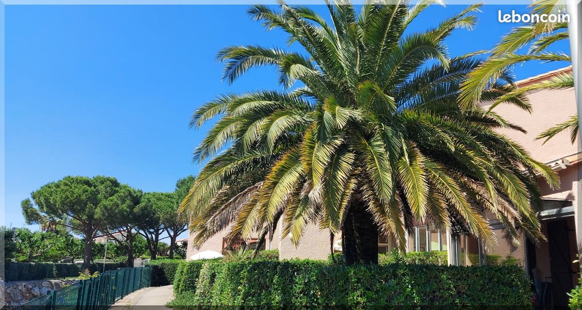 Appartement à louer, 52m², Saint-Cyprien