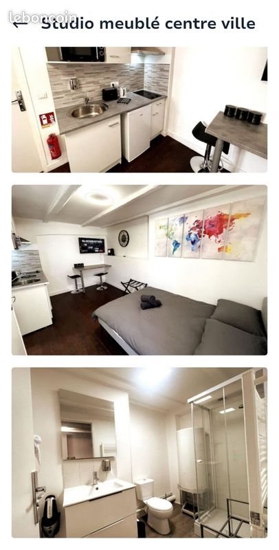 Appartement à louer, 15m², Niort