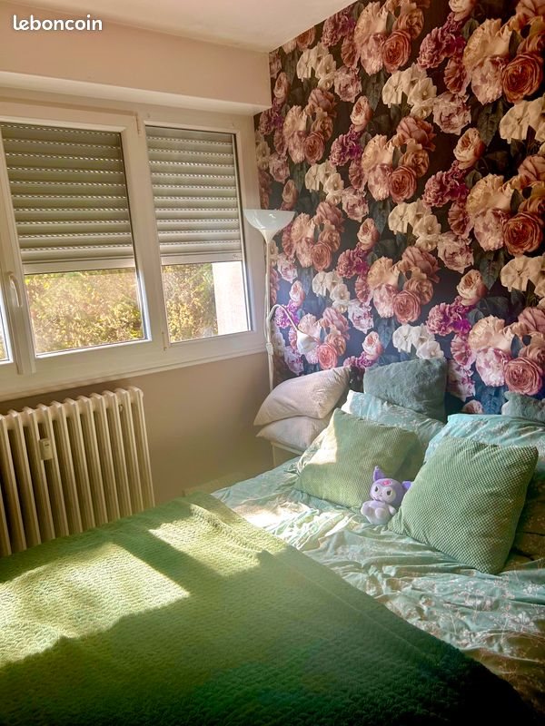 Appartement à louer, 58m², Le Mans