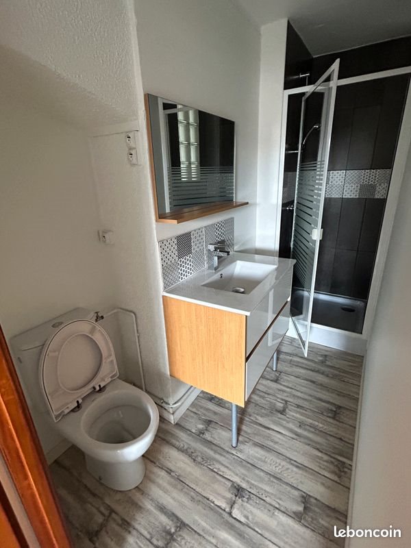 Appartement à louer, 26m², Chauffailles