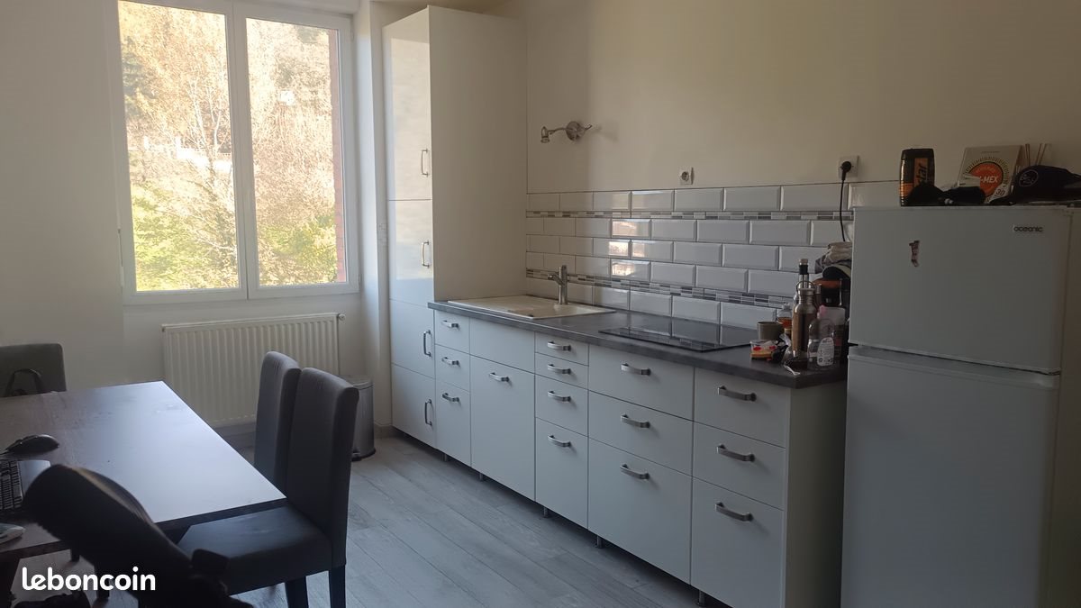 Appartement à louer, 31m², Saint-Étienne
