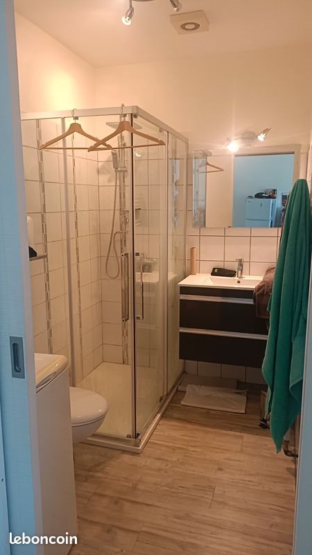 Appartement à louer, 31m², Saint-Étienne
