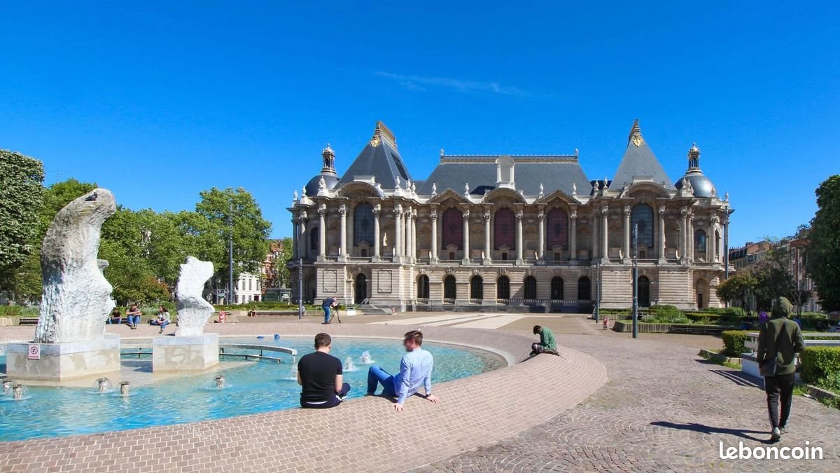 Appartement à louer, 20m², Lille