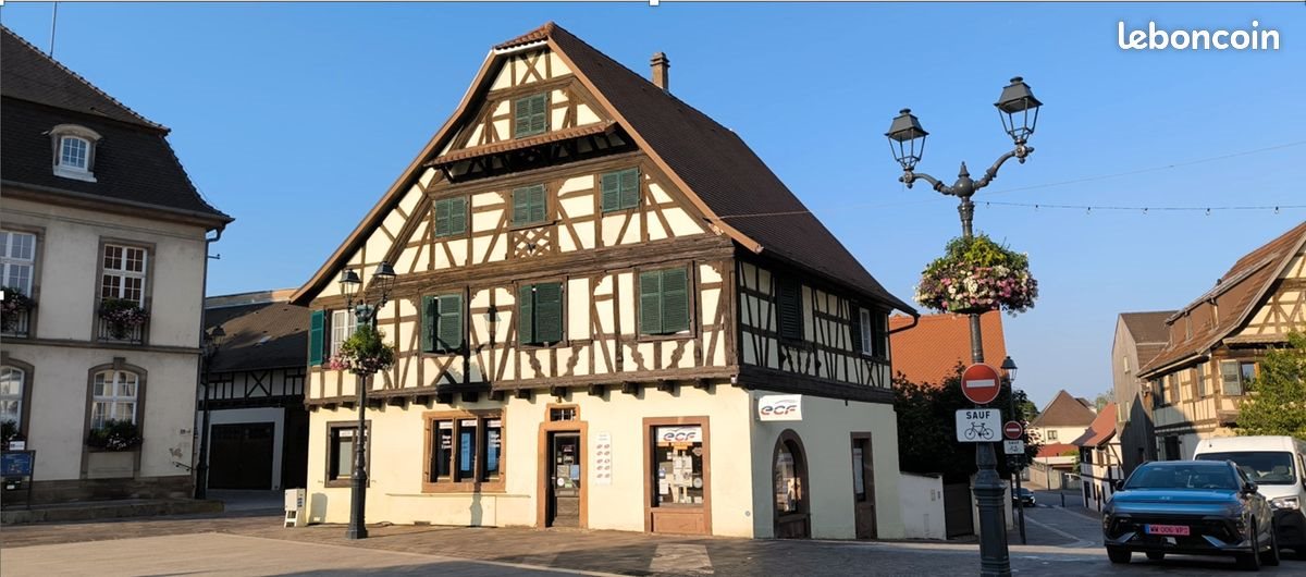 Maison à vendre, 300m², Erstein