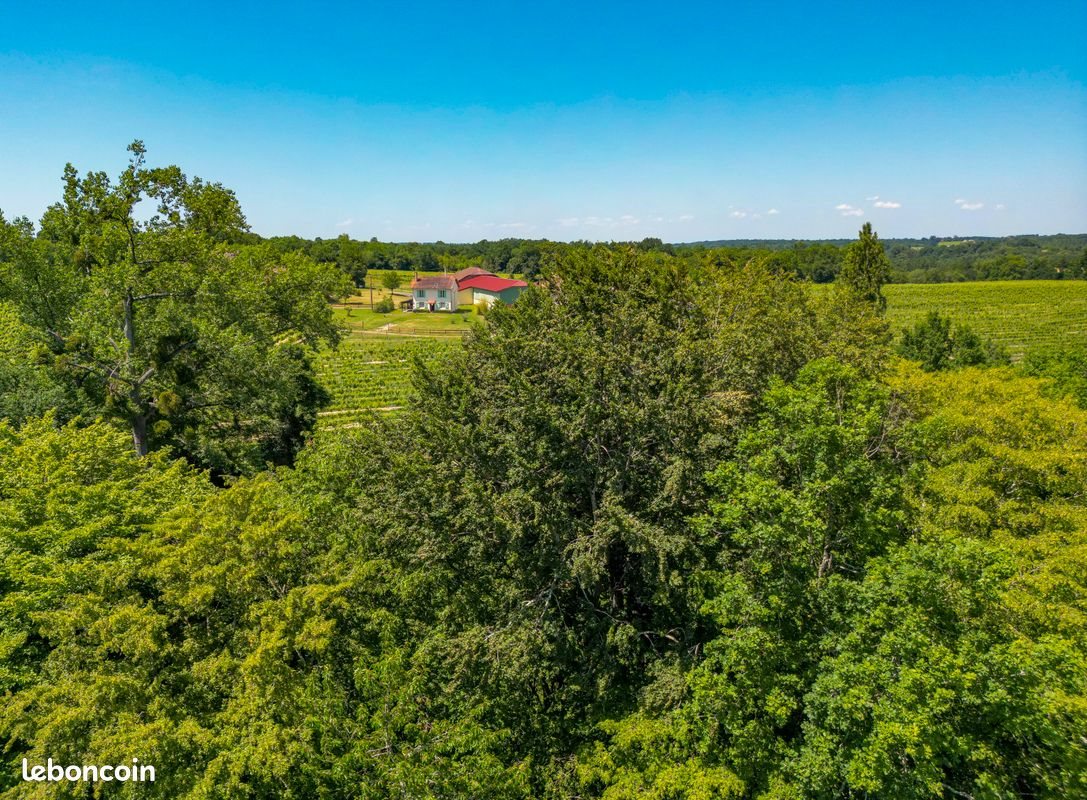 Maison à vendre, 120m², Manciet