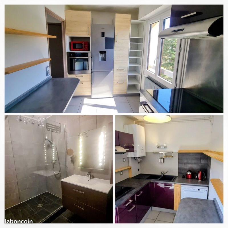 Appartement à louer, 51m², Bron