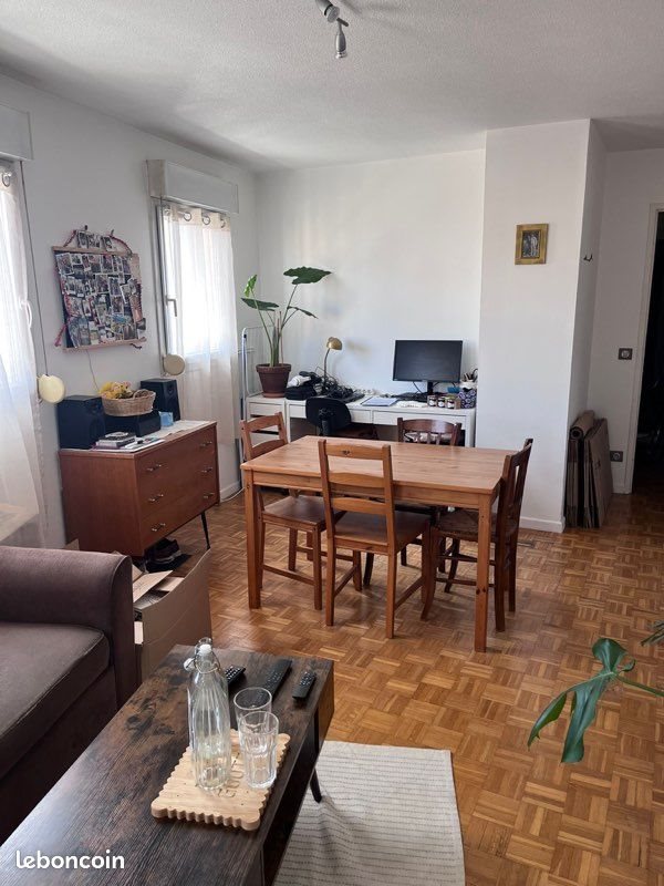 Appartement à louer, 49m², Villeurbanne