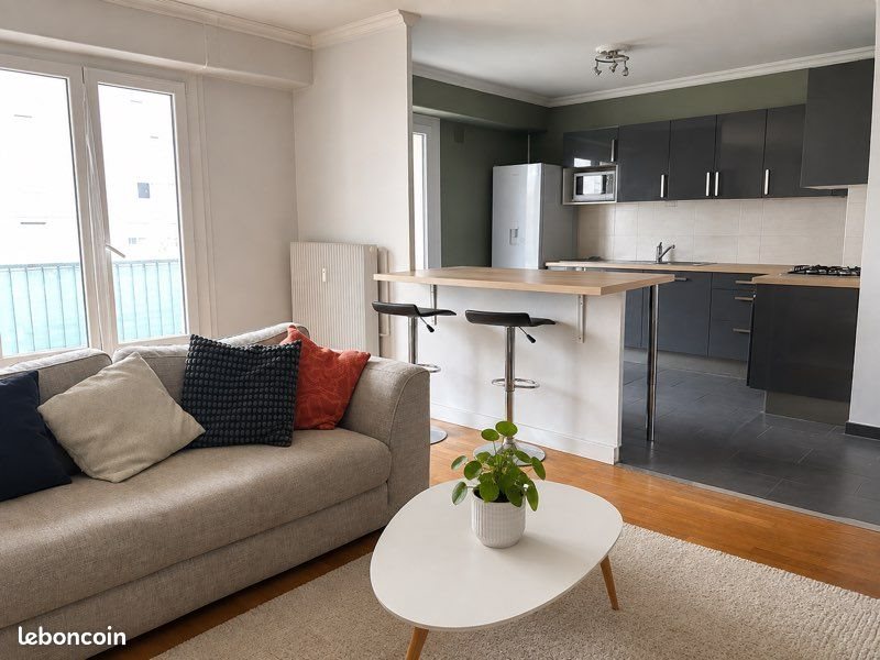 Appartement à louer, 52m², Villeurbanne