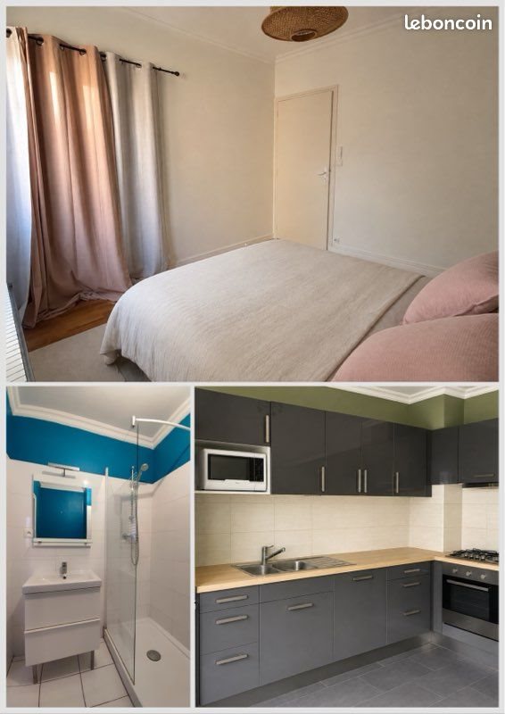 Appartement à louer, 52m², Villeurbanne