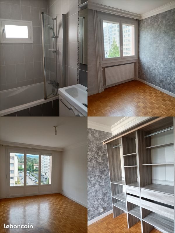 Appartement à louer, 48m², Saint-Etienne