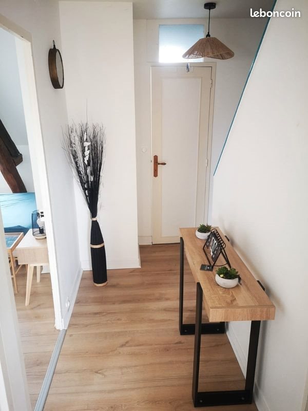 Appartement à louer, 47m², Tours