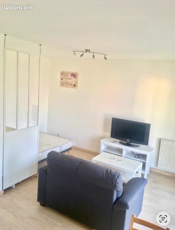 Appartement à louer, 31m², Villeurbanne