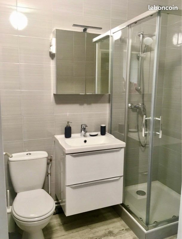 Appartement à louer, 31m², Villeurbanne