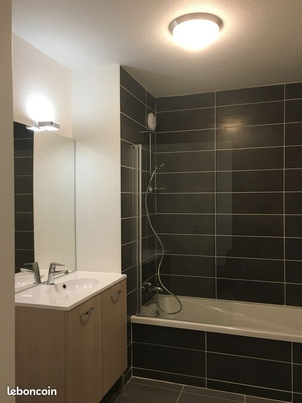 Appartement à louer, 52m², Saint-Jean-de-Sixt
