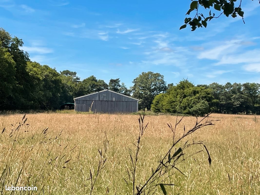 Maison à vendre, 160m², Langonnet