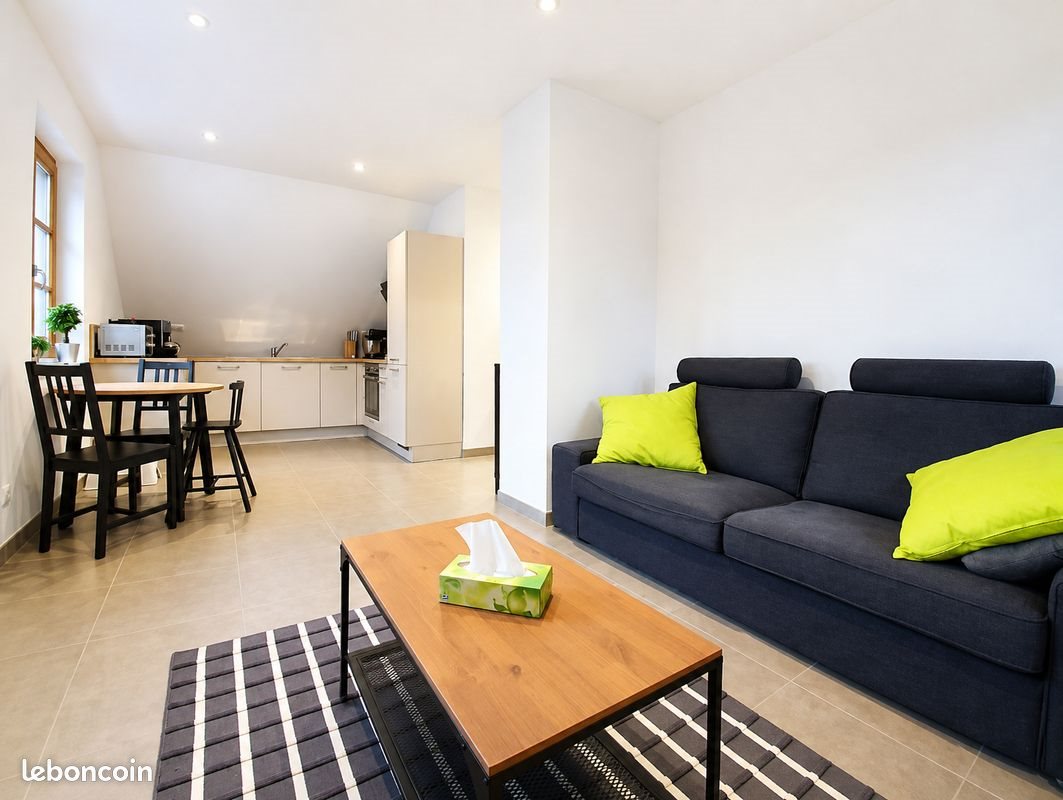 Appartement à louer, 60m², Altkirch