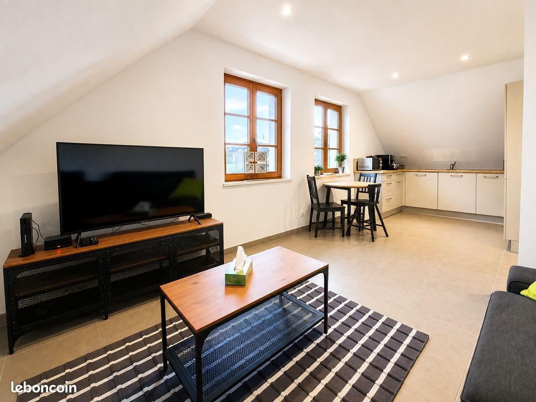 Appartement à louer, 60m², Altkirch