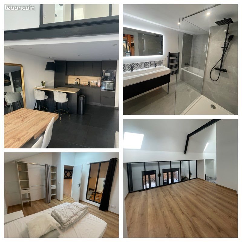 Appartement à louer, 120m², Saint-Etienne