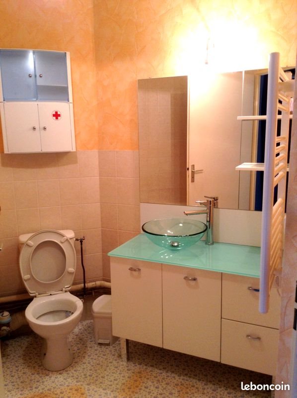 Appartement à louer, 33m², Nancy