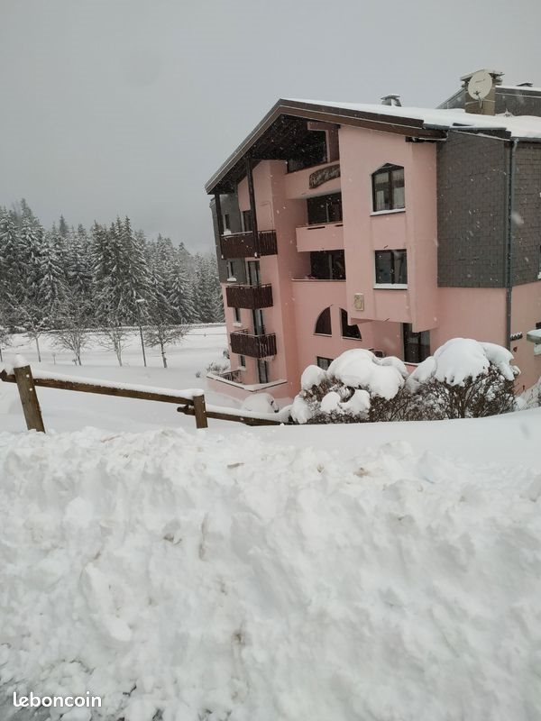 Appartement à vendre, 25m², Bellevaux (Bellevaux-Hirmentaz)