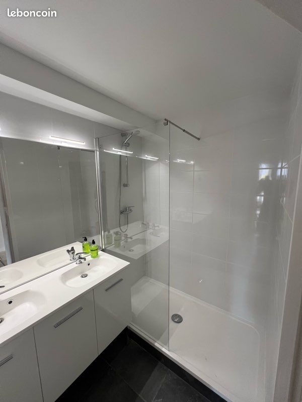 Appartement à louer, 50m², Saint-Etienne