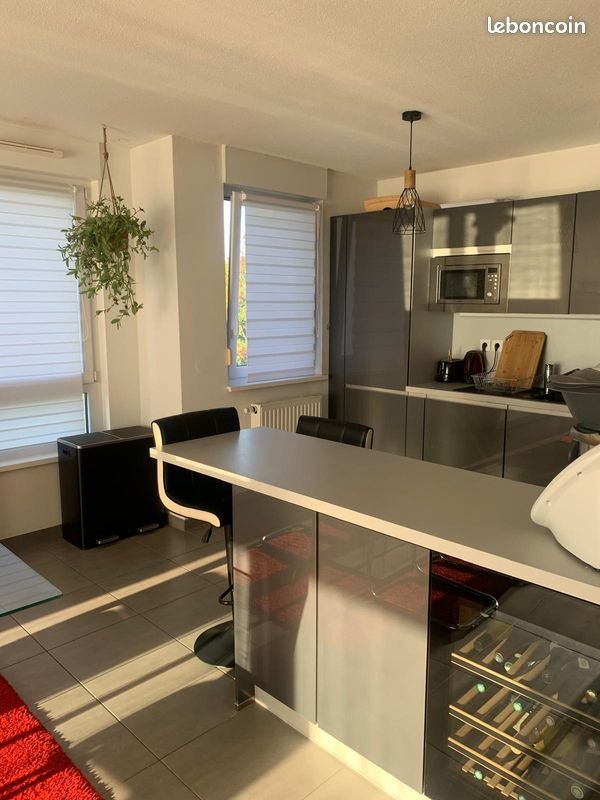 Appartement à louer, 69m², Wolfisheim