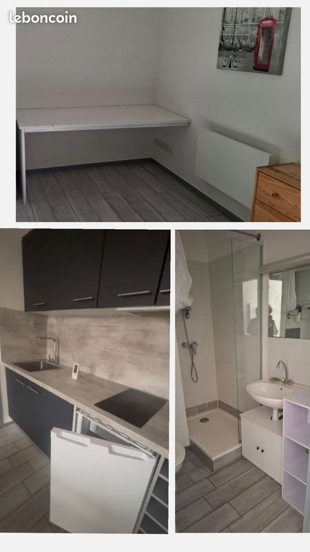 Appartement à louer, 30m², Saint-Etienne