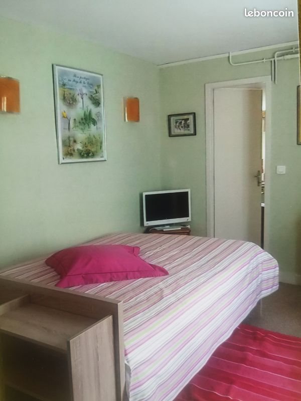 Appartement à louer, 19m², Saumur