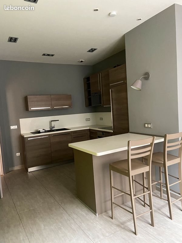 Appartement à louer, 99m², Colmar