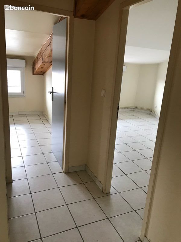 Appartement à louer, 60m², Lisle-sur-Tarn