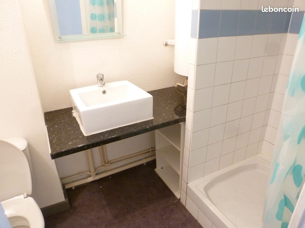 Appartement à louer, 31m², Le Puy-en-Velay