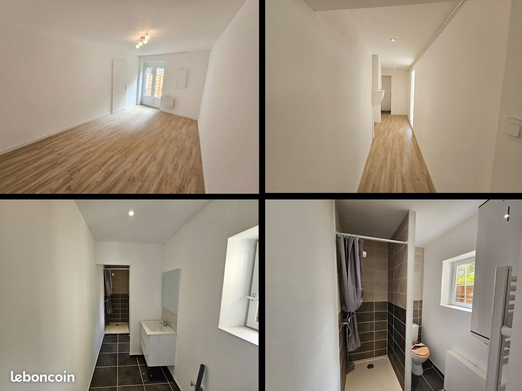 Appartement à louer, 53m², Saint-Etienne