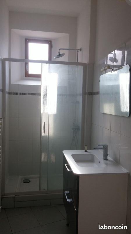 Appartement à louer, 46m², Saint-Etienne